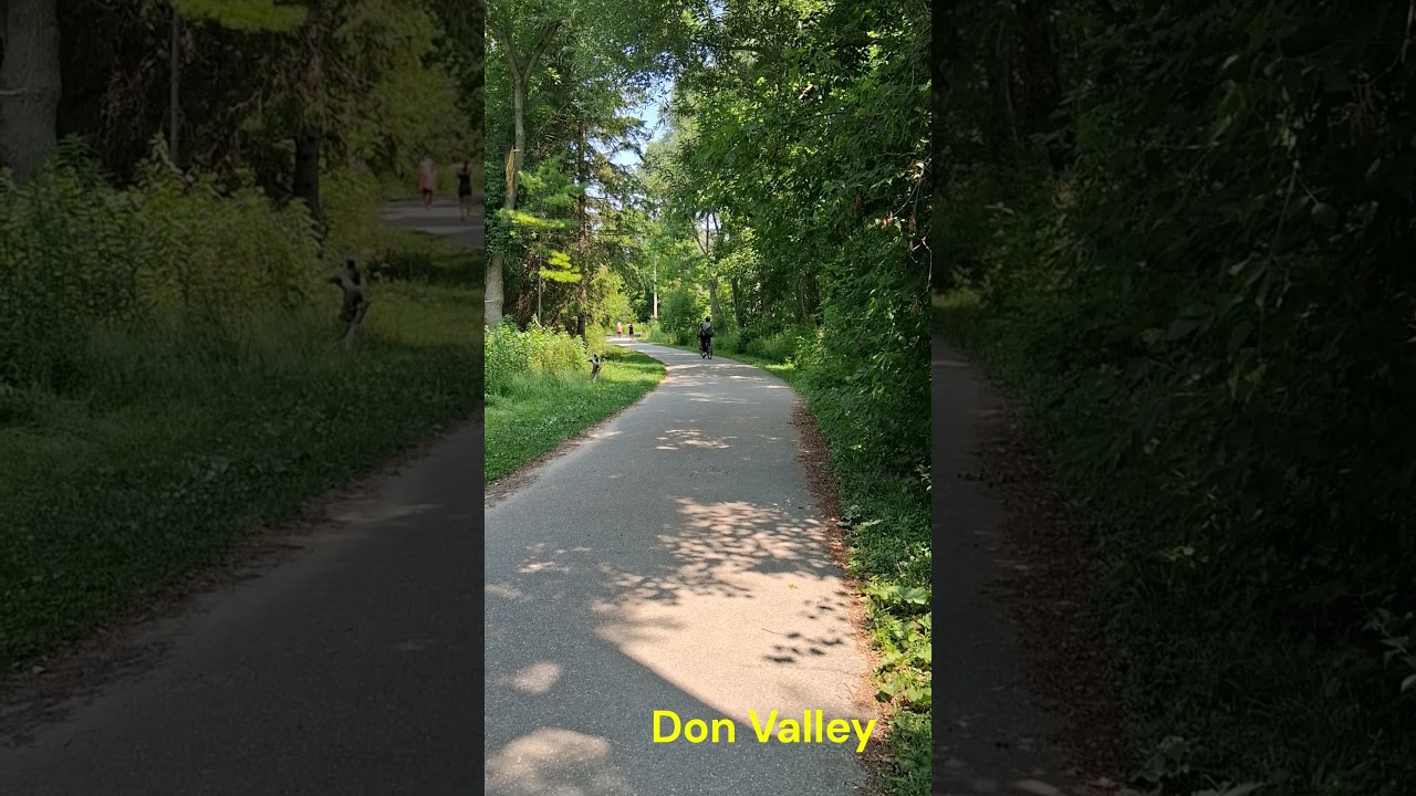 Don Valley, Toronto