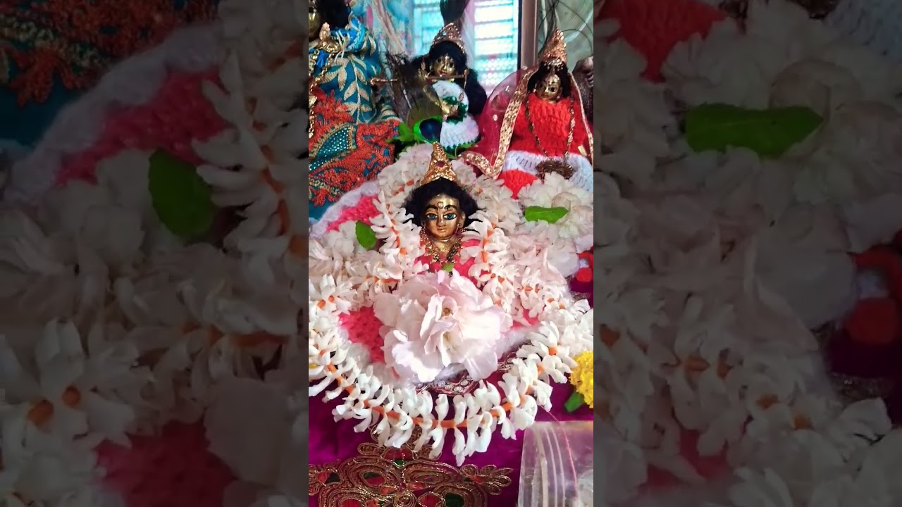 পৃথিবী হারিয়ে #song #music #hindisong #gitadas #love #live #minivlog #livegita #gitavatika #shyam