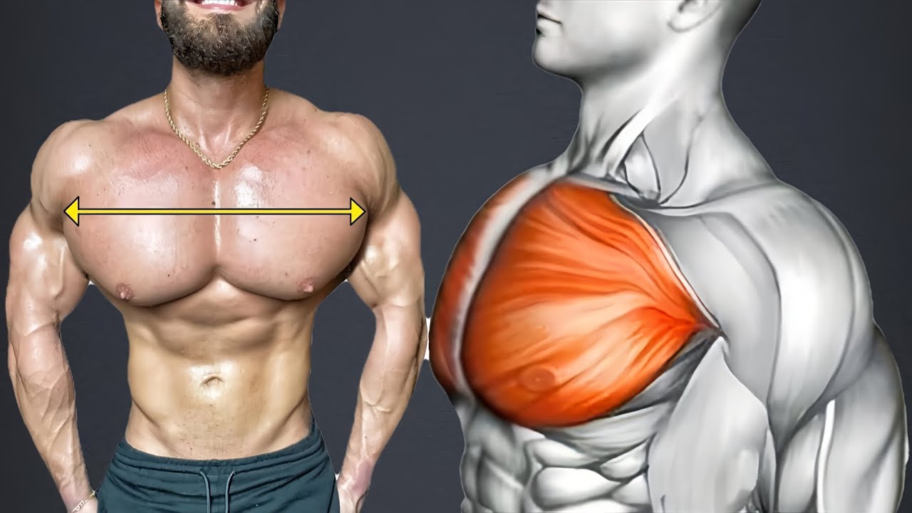 The Best Chest Exercises and Workouts You Need to Build Bigger pecs