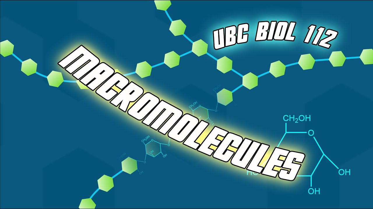 Introduction to Macromolecules (updated) - Biol 112 at UBC