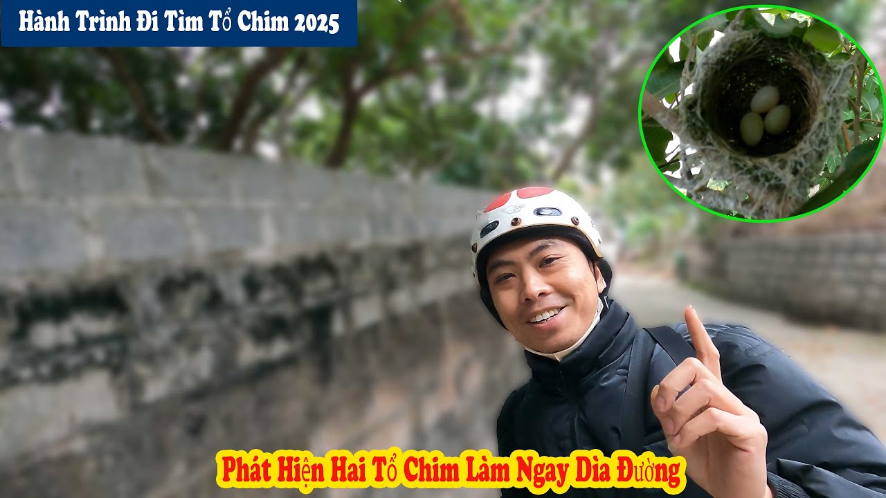 Hành Trình Đi Tìm Tổ Chim 2025 || Phát Hiện Được Hai Tổ Chim Đầu Mùa // Chiến Ơi