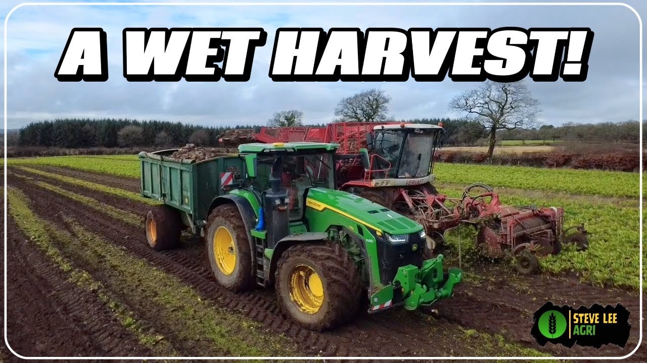 JOHN DEERE 8R370 KEEPING THE VERVAET BEET HARVESTER GOING THROUGH THE MUD