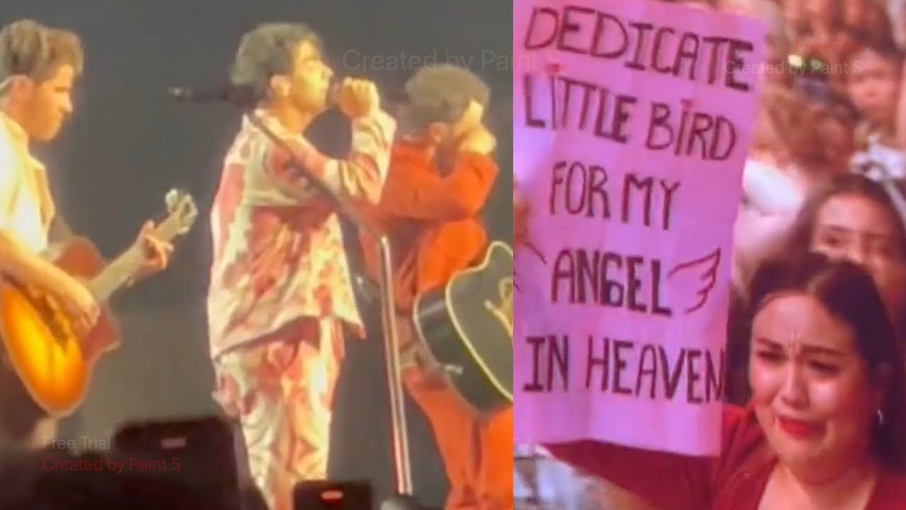 Jonas Brothers' Emotional 'Little Bird' Tribute