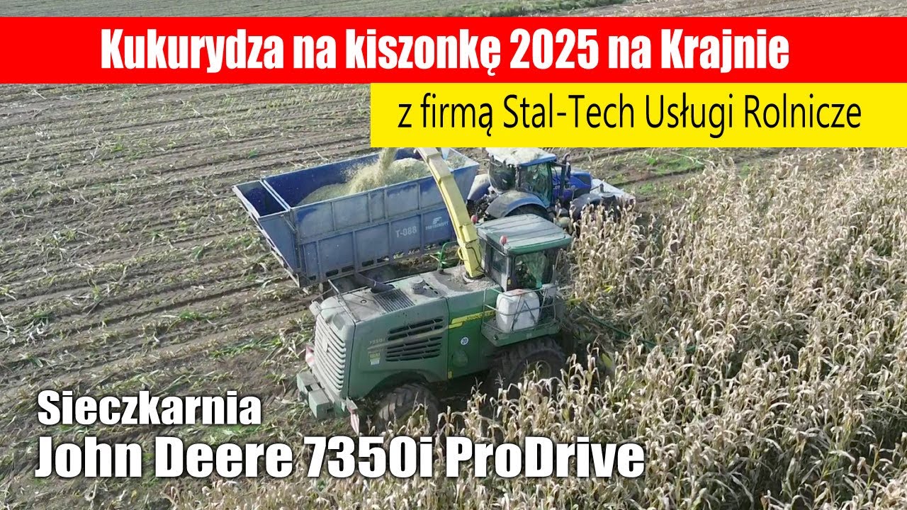 Kukurydza na kiszonkę 2025 z sieczkarnią John Deere 7350i (Stal-Tech Usługi Rolnicze)