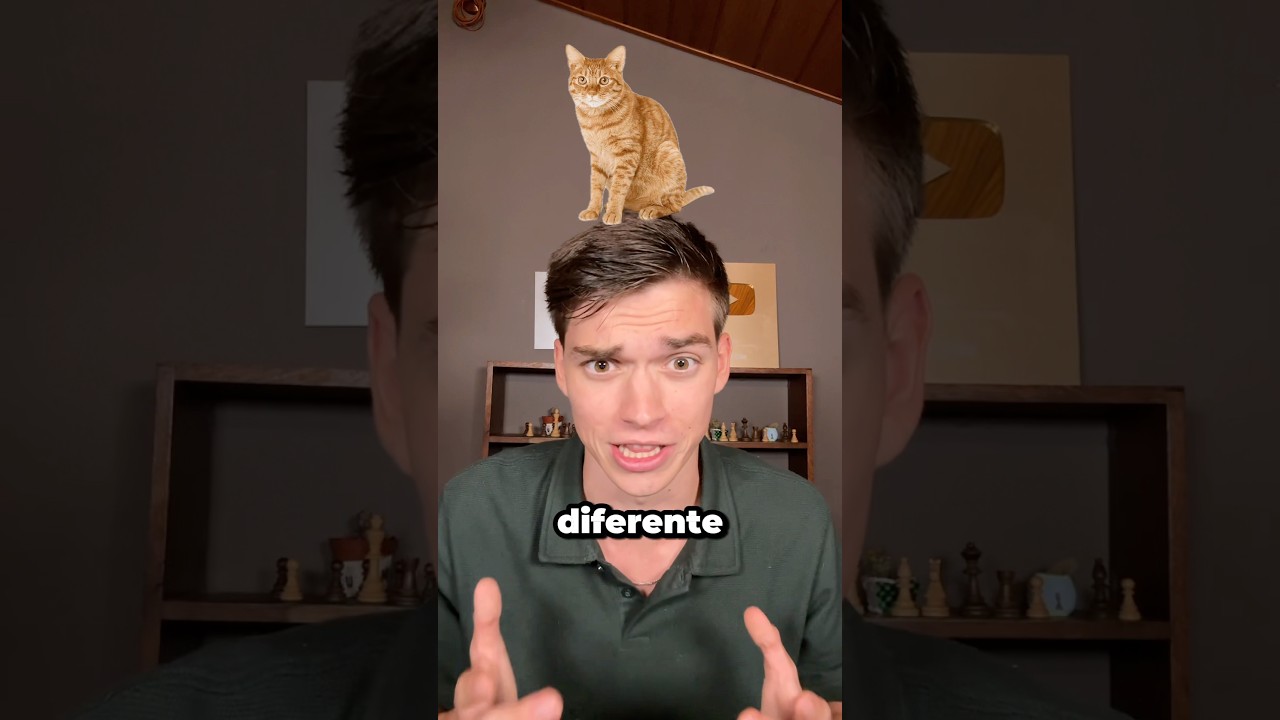 C&oacute;mo escuchan a los gatos en cada pa&iacute;s 🤯
