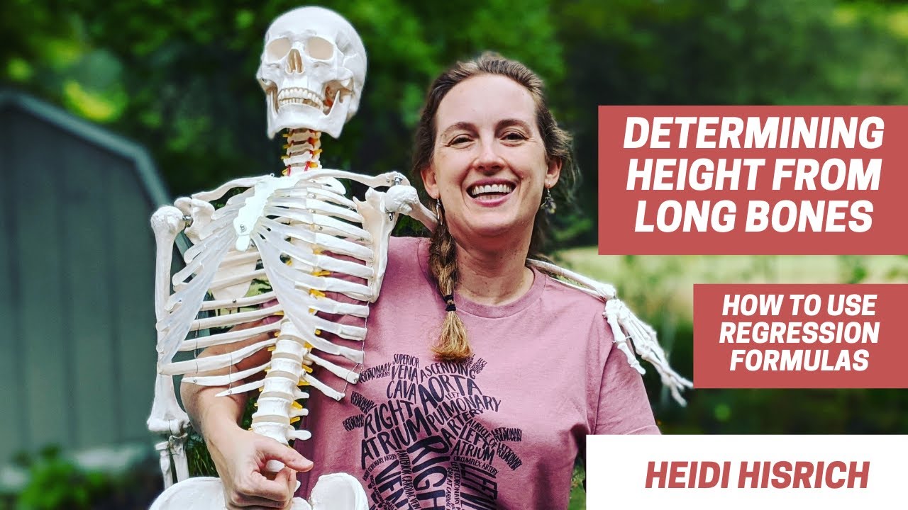 Calculating Height From Long Bones