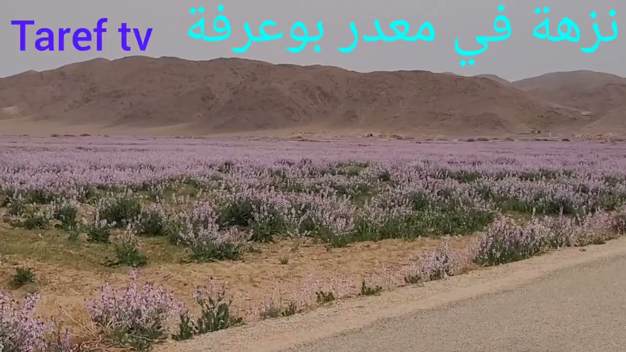 شاهدوا  مدا وقع في ضواحي مدينة بوعرفة