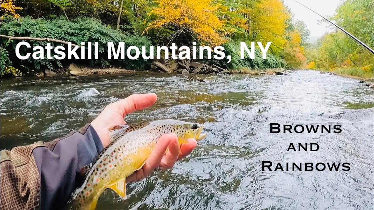 FLY FISHING in the Catskill Mountains, NY