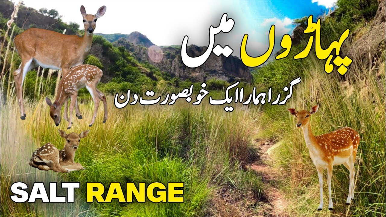 Salt Range Mountains | Geography of Pakistan | سلسلہ کوہ نمک