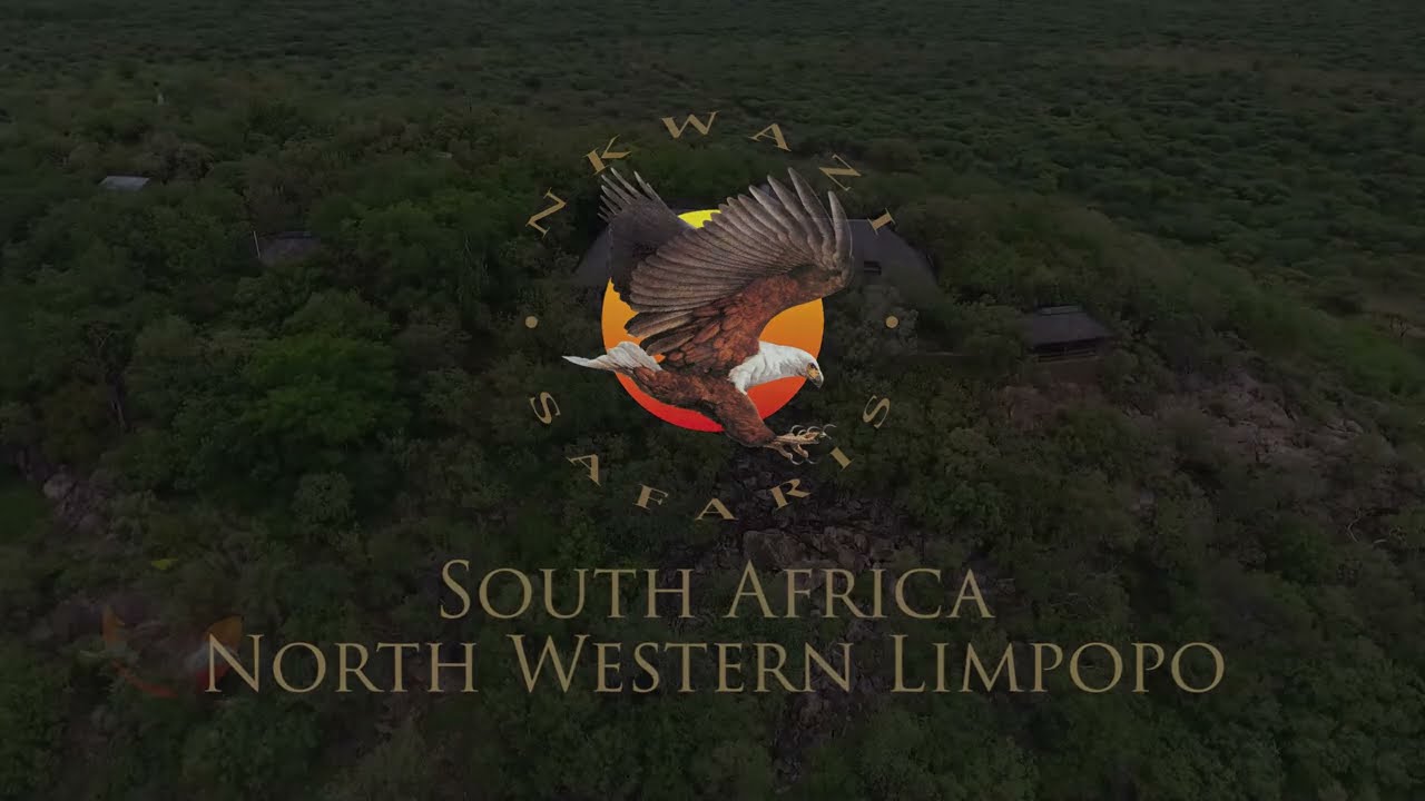 Nkwazi Safaris - North Western Limpopo