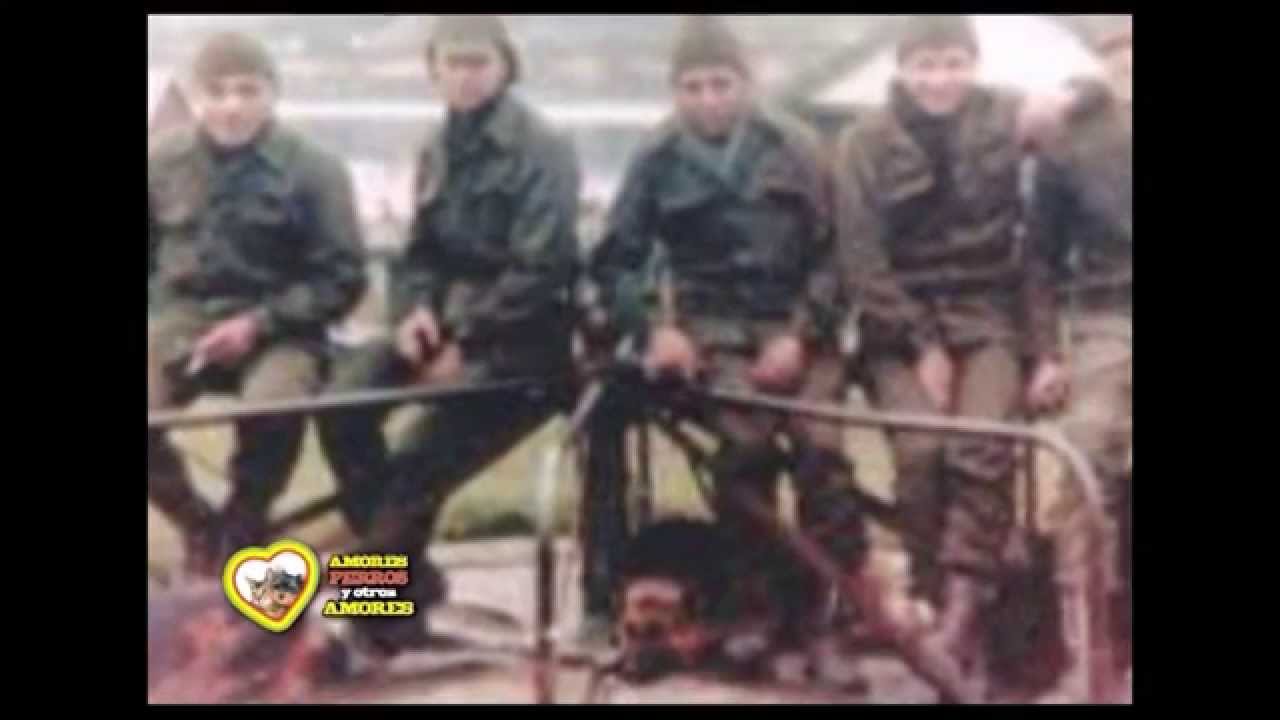 Homenaje a los perros de Malvinas