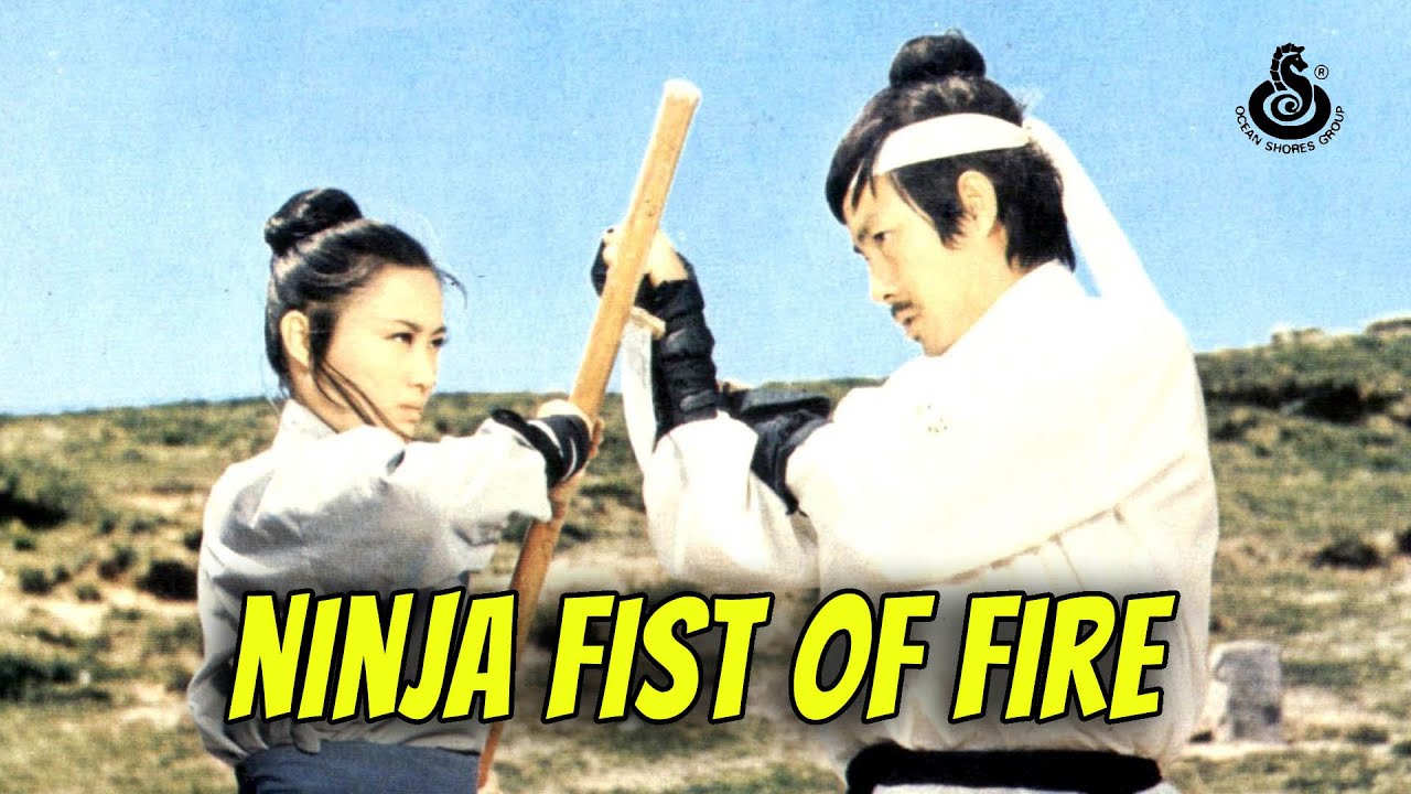 Wu Tang Collection - Ninja Fist of Fire