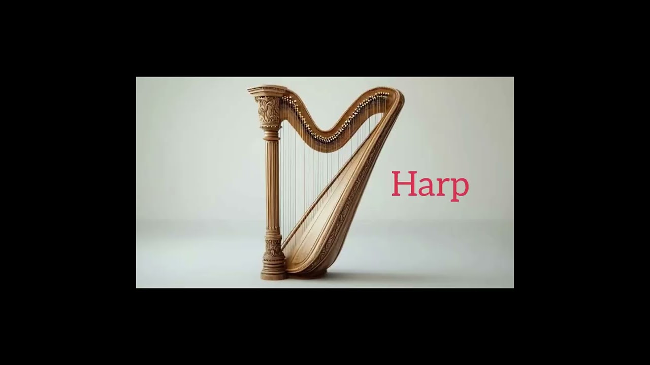 Musical Instruments | Kids Learning