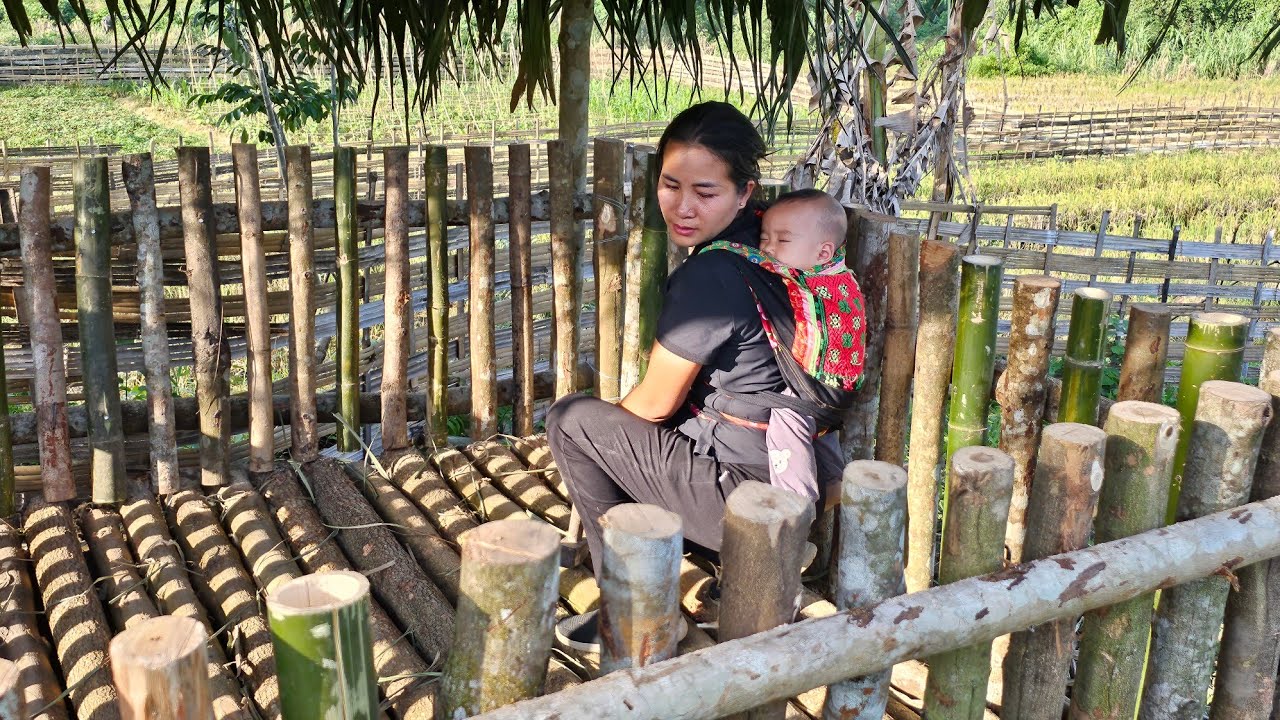 Single mother harvests bananas to sell and finishes building a pigsty: Everyday life - Le Thi Hon