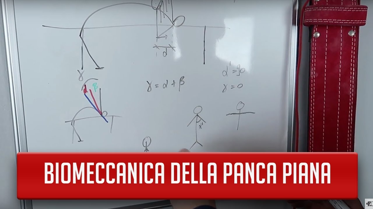 LA BIOMECCANICA DELLA PANCA PIANA