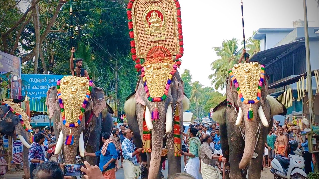 പുതുപ്പള്ളി സാധു || ആലത്തിയൂർ പാറശ്ശേരി ചെറിയേരിക്കാവ് അയ്യപ്പൻ വിളക്ക് മഹോത്സവം 2025