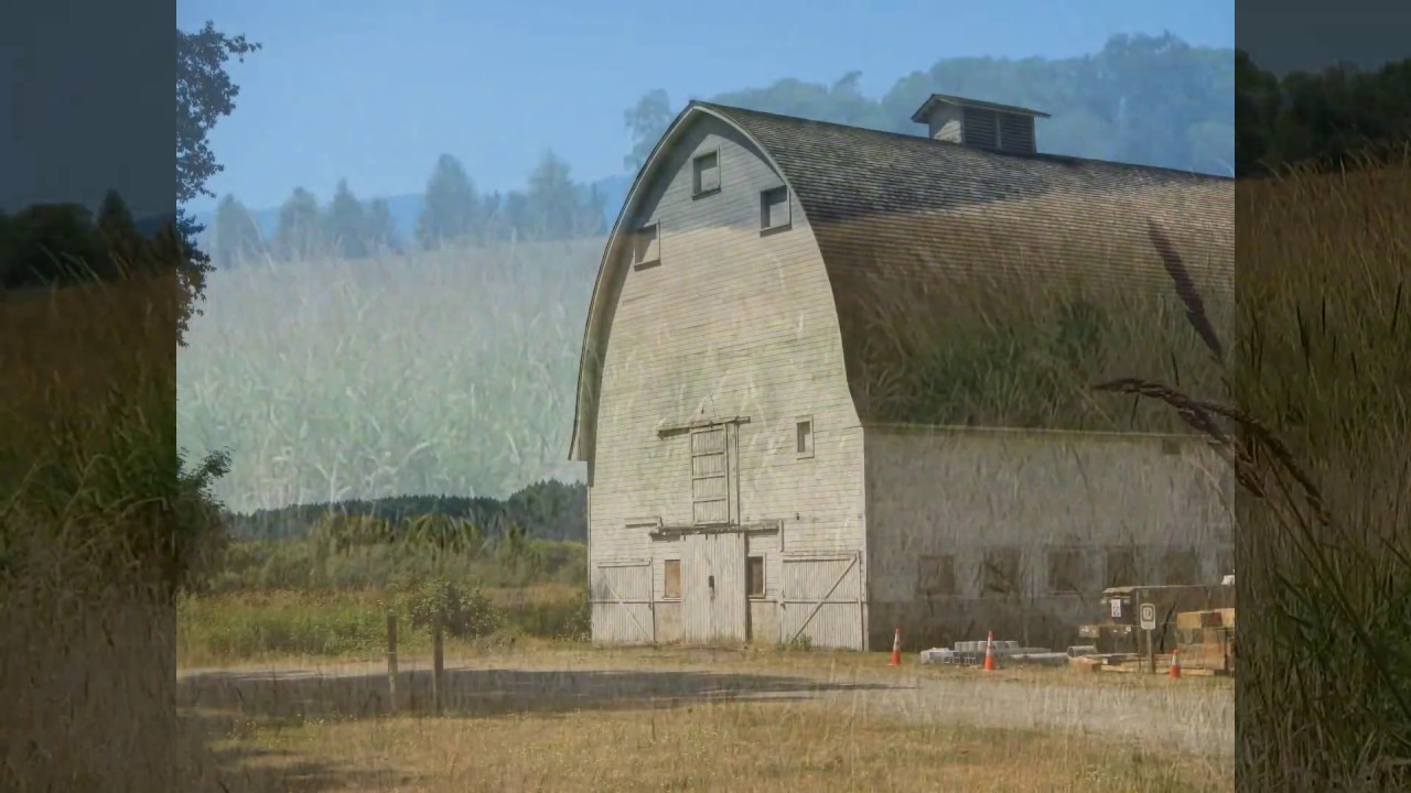 A Walk Through the Nisqually Wildlife Refuge