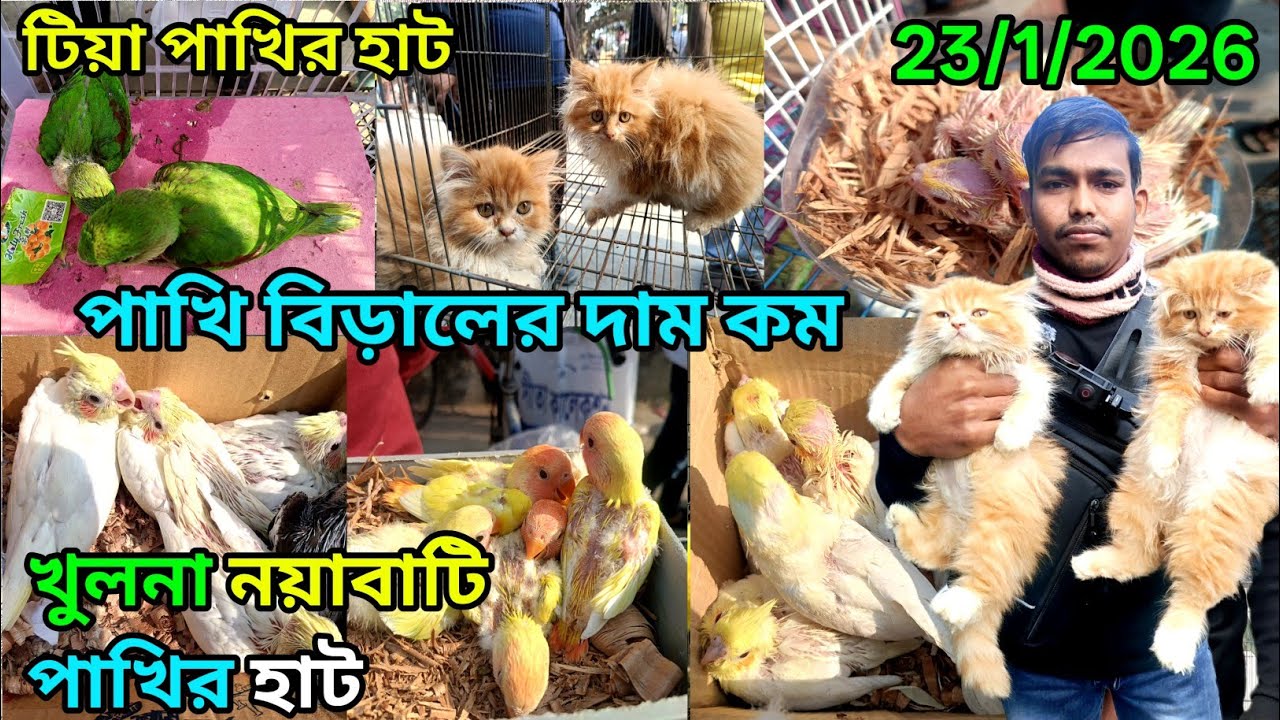 খুলনা🦜 নয়াবাটি 🐈পাখির হাট paet animal market ni Khulna পাখির হাট birds price ni Bangladesh #foryou 