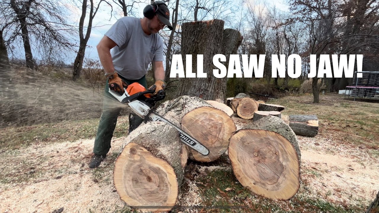 Breaking Down BIG Maple With Stihl 400c #firewood #freefirewood