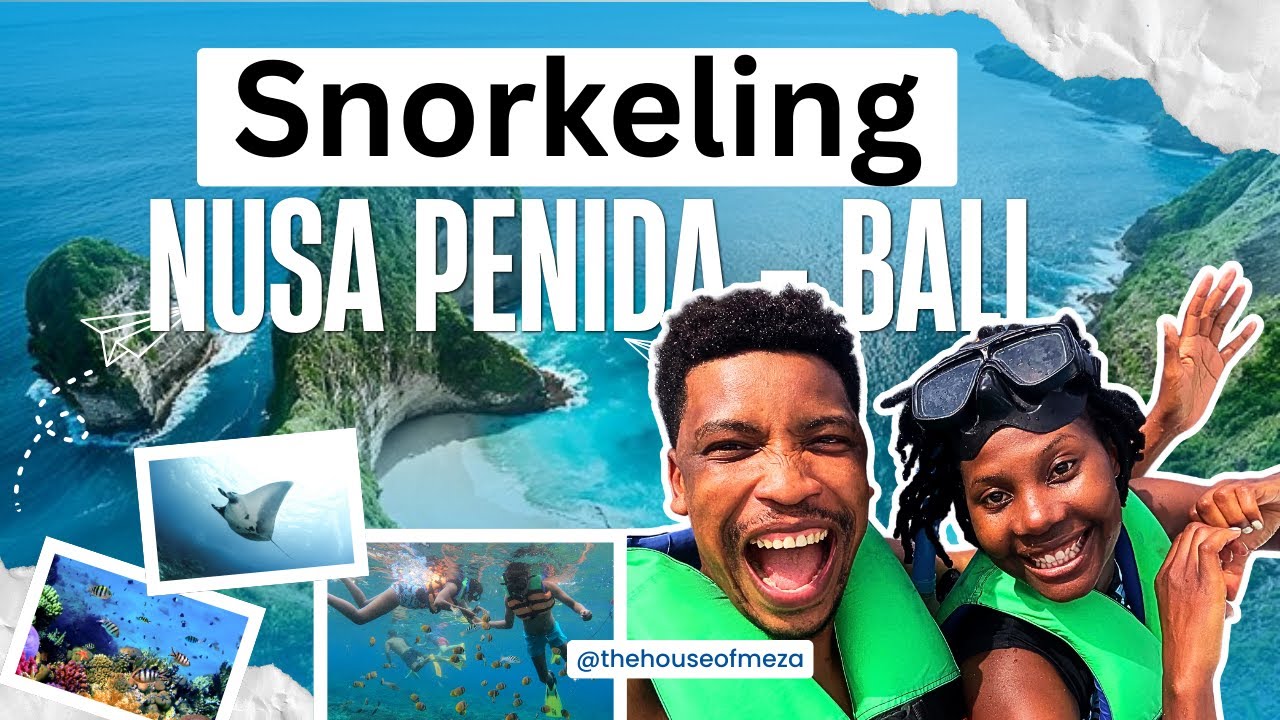 Snorkelling with Manta Rays | Wild Dolphins  | in Nusa Penida - Bali 🇮🇩 Indonesia Travel Vlog