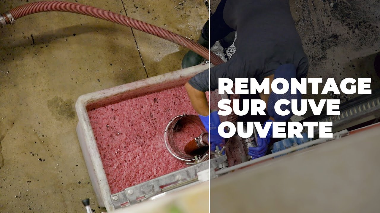 Vin: Le Remontage sur Cuve Ouverte
