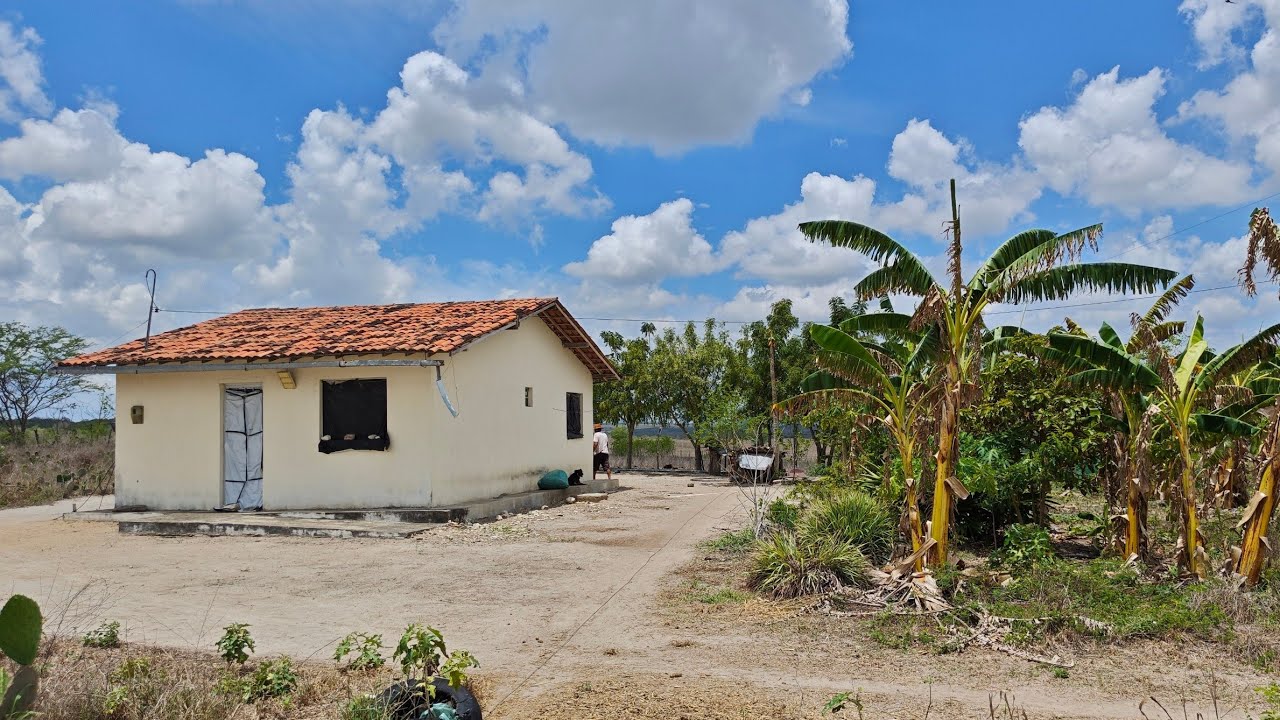 OPORTUNIDADE! Sítio de 12 Hectares em Passira - PE | Muita Água e Pronto para Morar