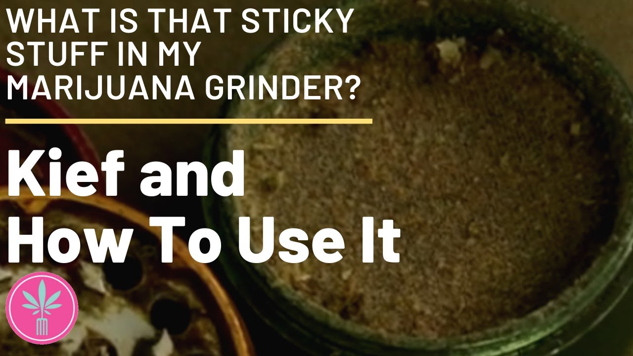 Understanding Kief: What Is That Sticky Stuff in My Grinder?