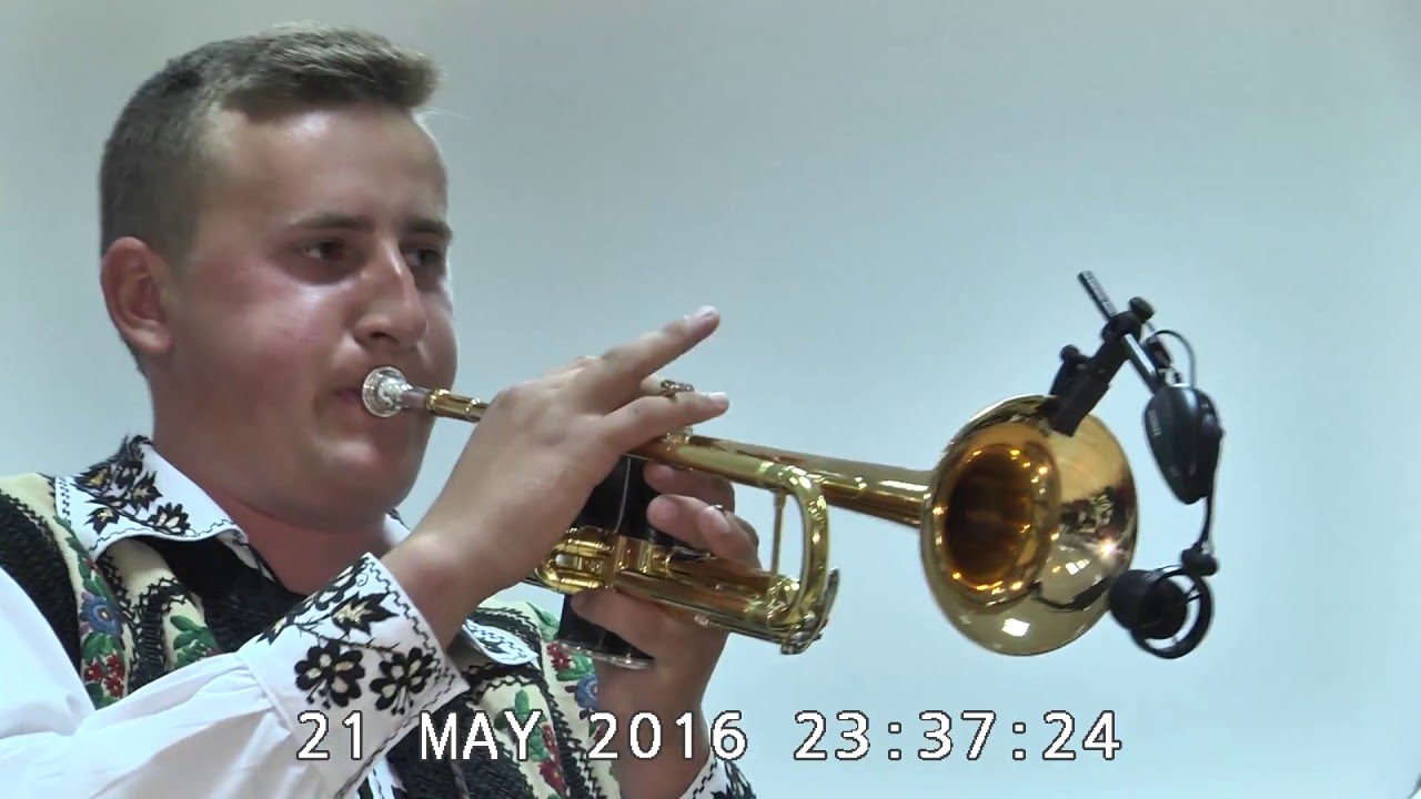 Program Bogdan Vladeanu