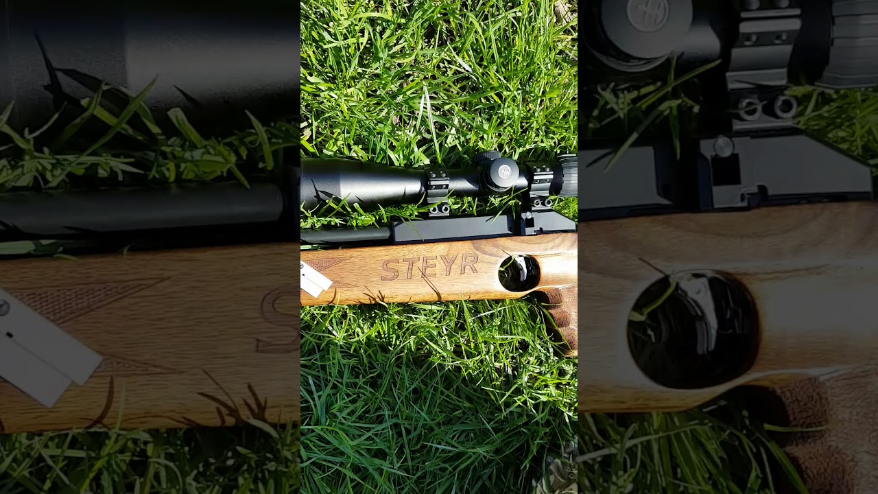 Steyr hunting 5 auto 50 yard test