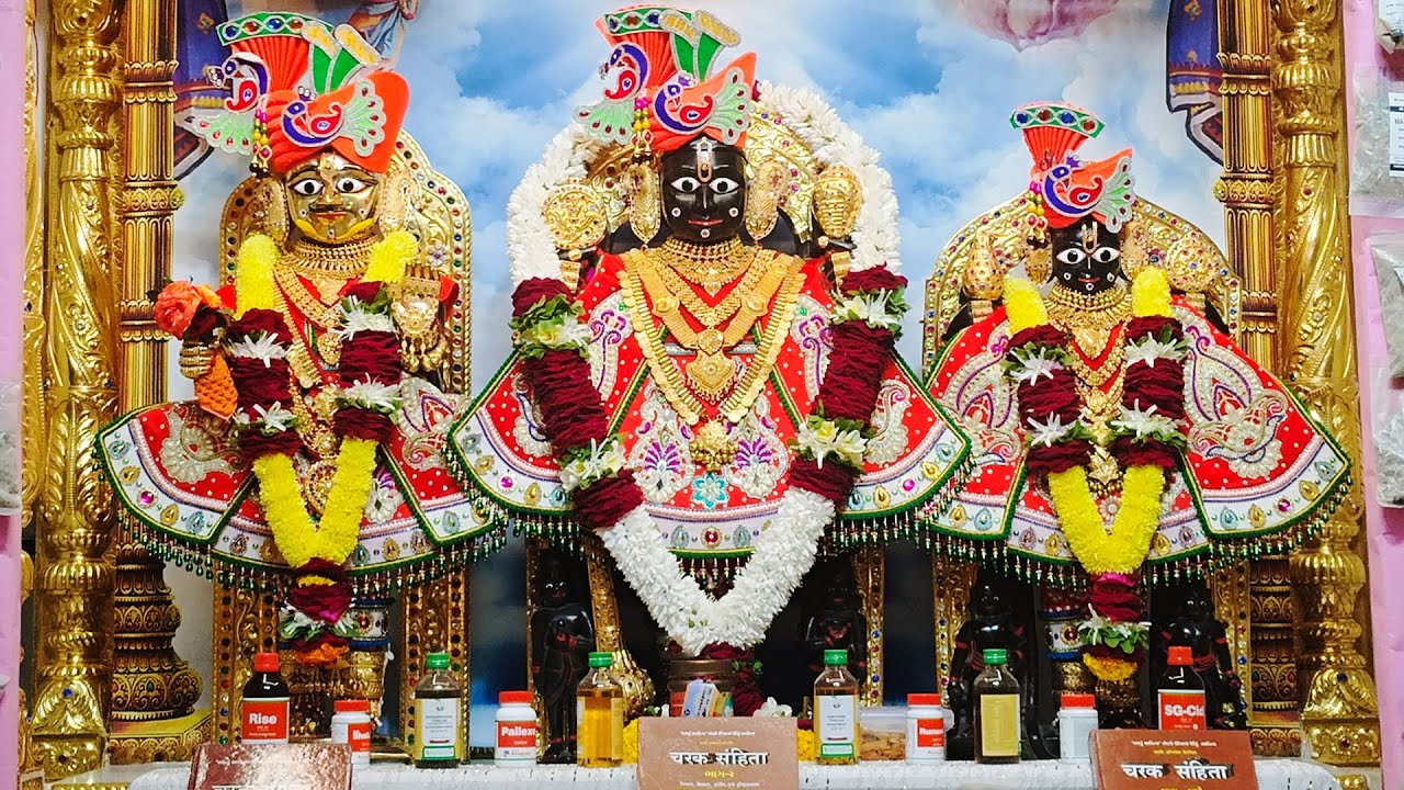 નરનારાયણ દેવ ભુજ ધામ | આજના છ ધામના દેવોના | દિવ્ય શણગારના દર્શન | તા:- ૦૫ /- ૦૧ /- ૨૦૨૬  | Daily