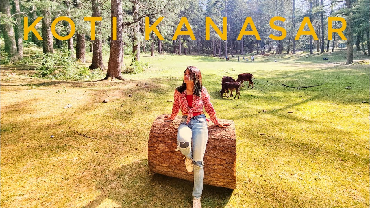 Koti kanasar, Chakrata || best summer destination|| #travelwanderer #uttrakhand #travel #dehradun
