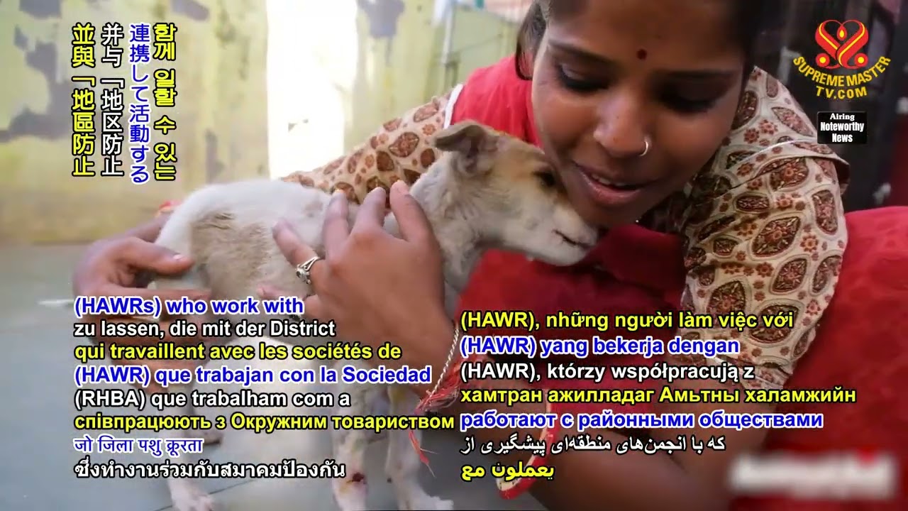 2708 NWN 4 legal training program offered to volunteers in India to advance animal people welfare 10