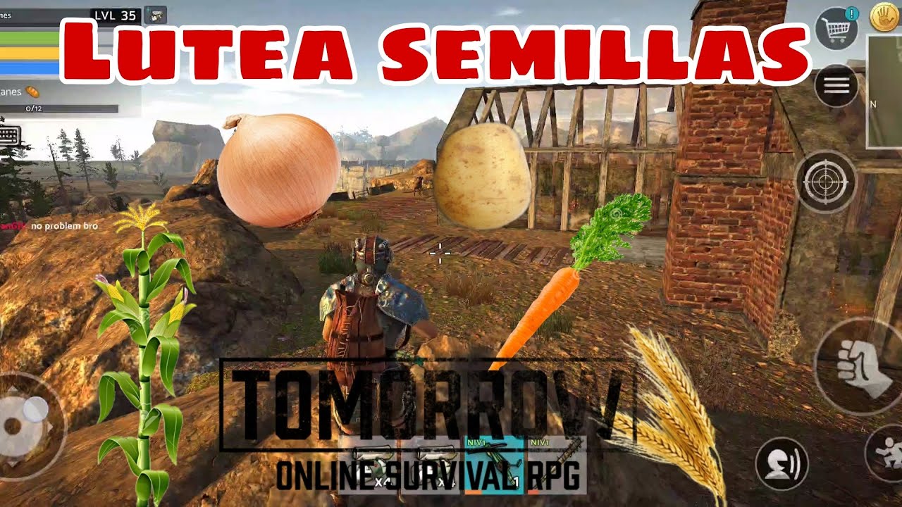 Lutea semillas, Trigo, Papa, zanahoria, Cebolla, Maíz.  Tomorrow 