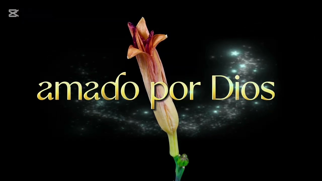 TE SIGO AMANDO 