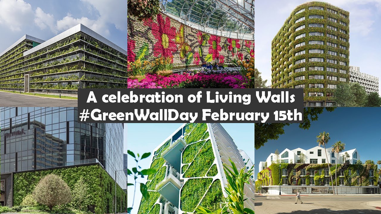 Record-breaking living walls from around the world. 2023 International Green Wall Day.