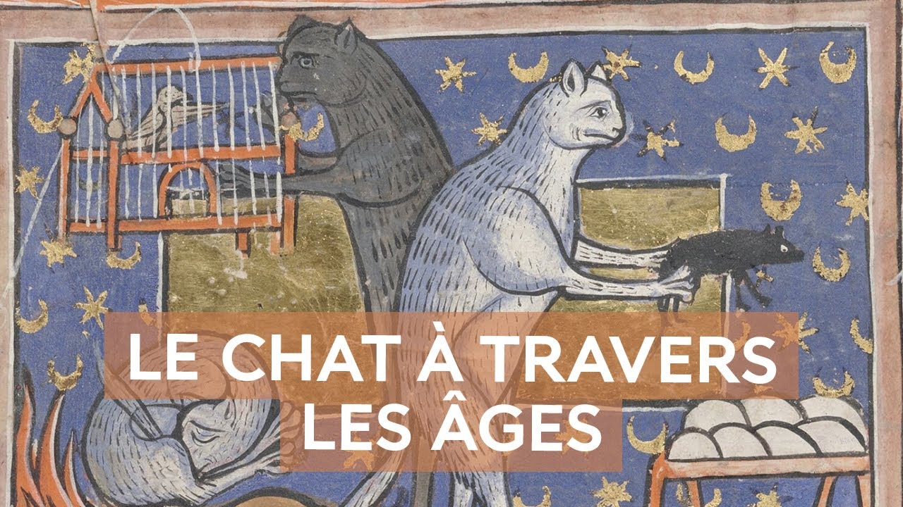 Les chats, &agrave; la conqu&ecirc;te du monde et des &acirc;ges