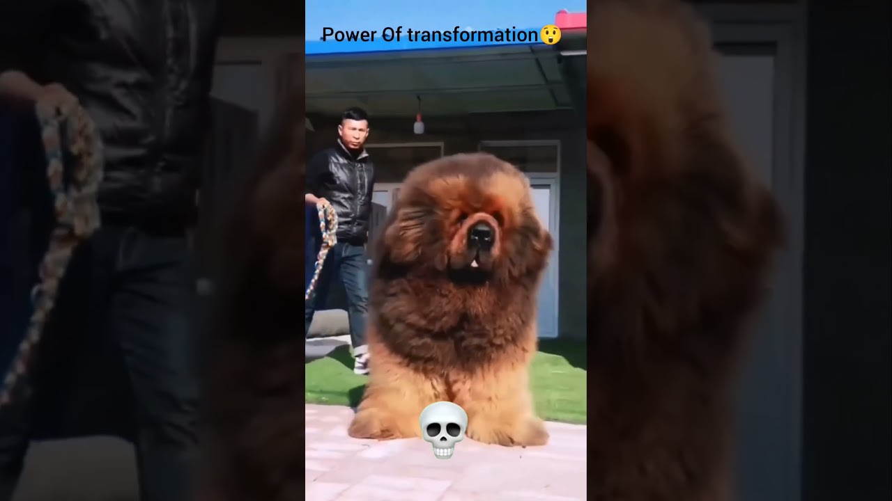 Power Of transformation😲