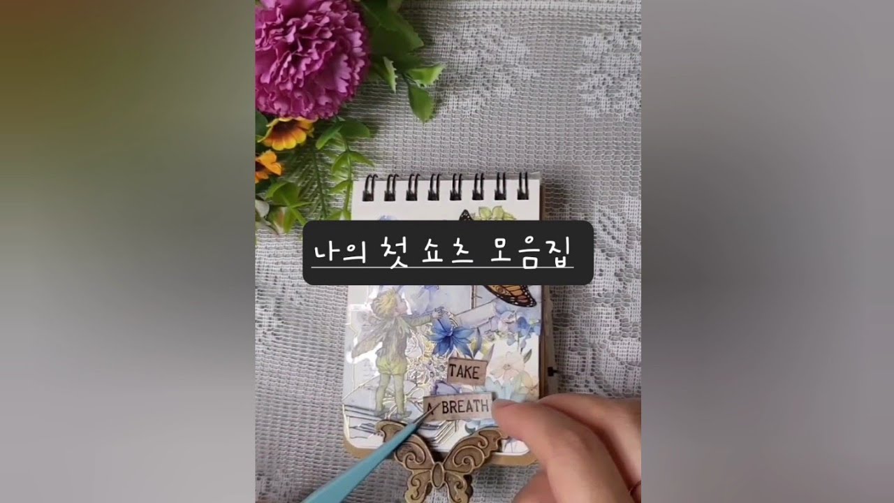 [shorts collection] no.1 나의 첫 쇼츠 모음집 