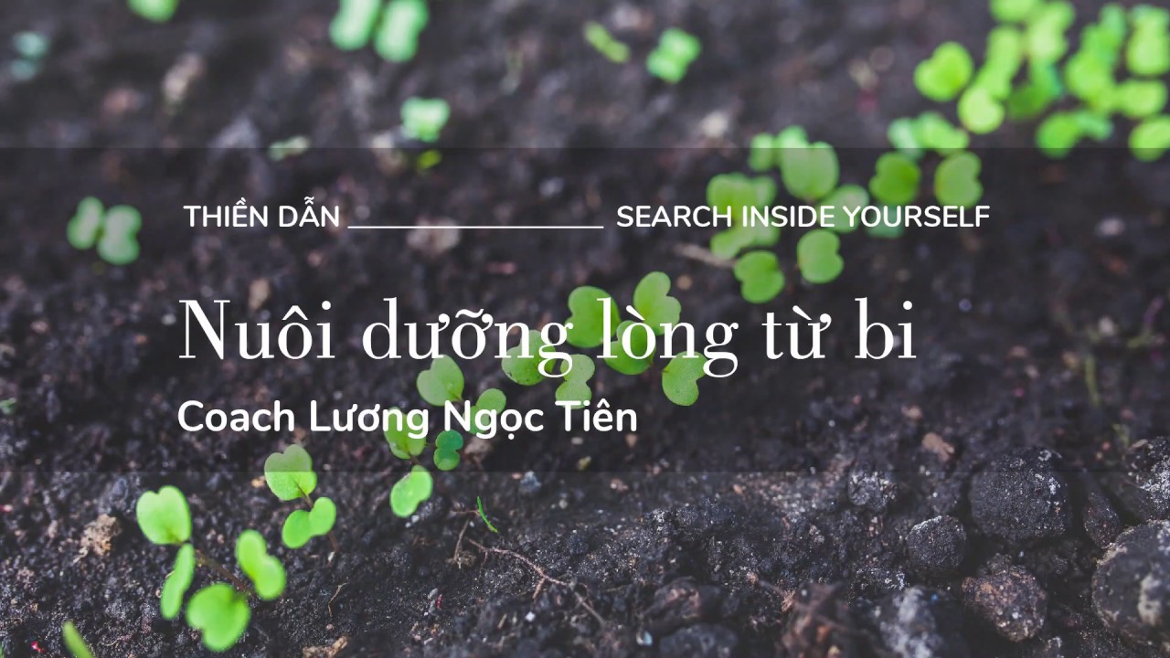 Thiền Dẫn - Lòng Từ Bi - 5 Phút || Coach Lương Ngọc Tiên