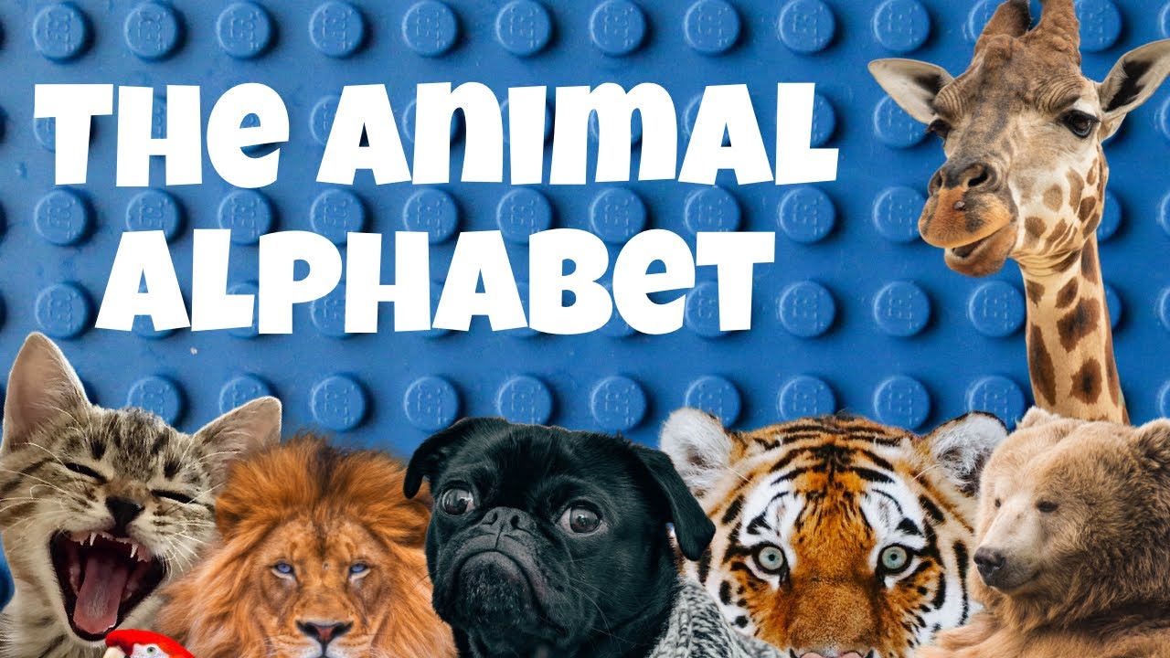 The Animal Alphabet - It's A Wonderful Day - Children's Educational Singalong Song