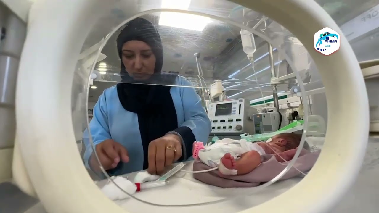 أزمة حليب تهدد حياة الرضع في غزة.. مستشفيات تدق ناقوس الخطر