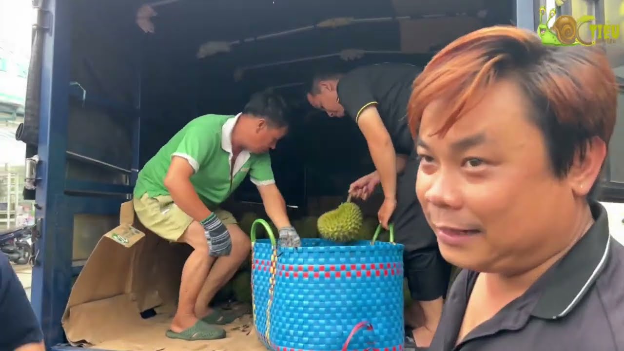 Ba mẹ Ốc Tiêu nhận nhiệm vụ từ Cha Khương đi cắt đợt sầu riêng mới để về kịp giao cho OBCC