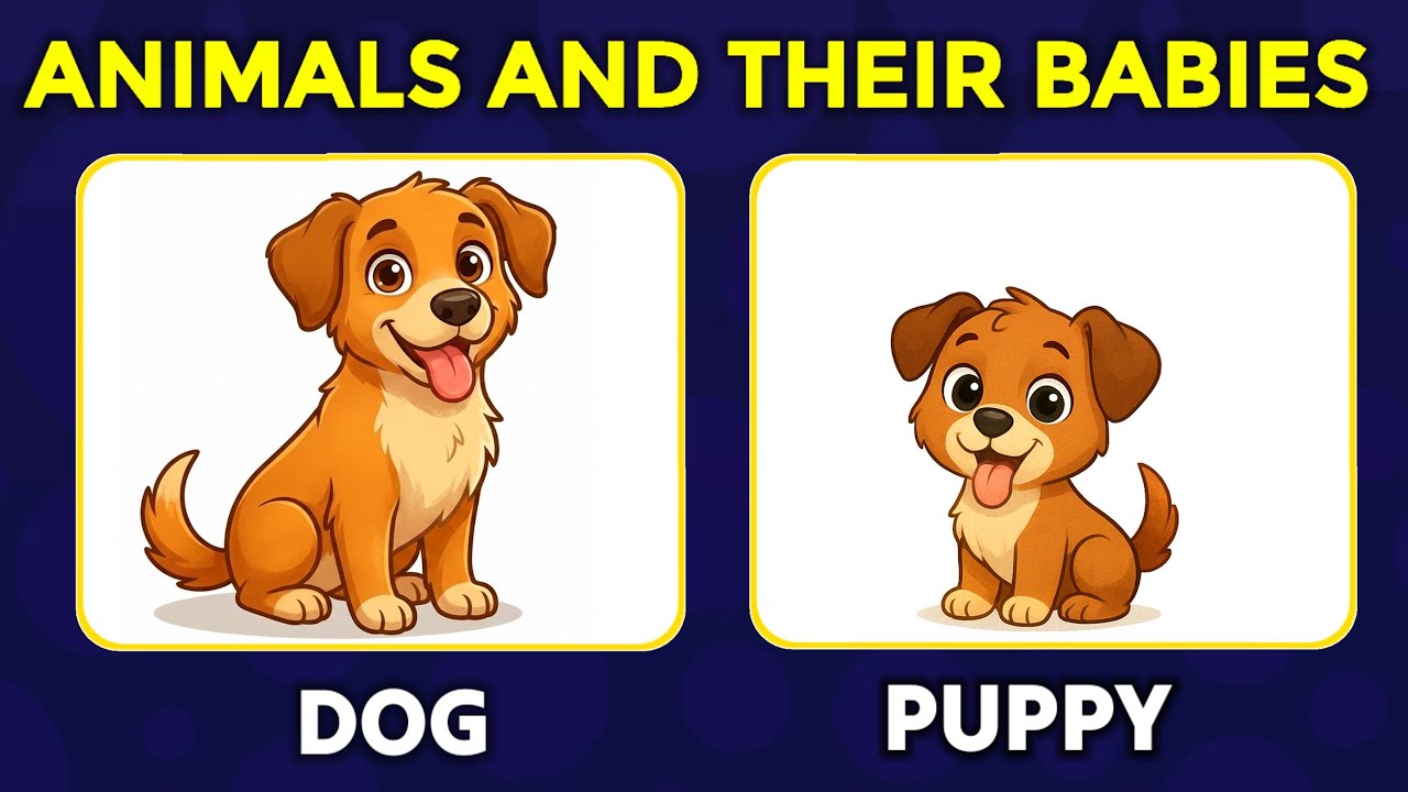 Animal and their babies | Animal babies names | Animals and their young ones #animalsandtheirbabies 