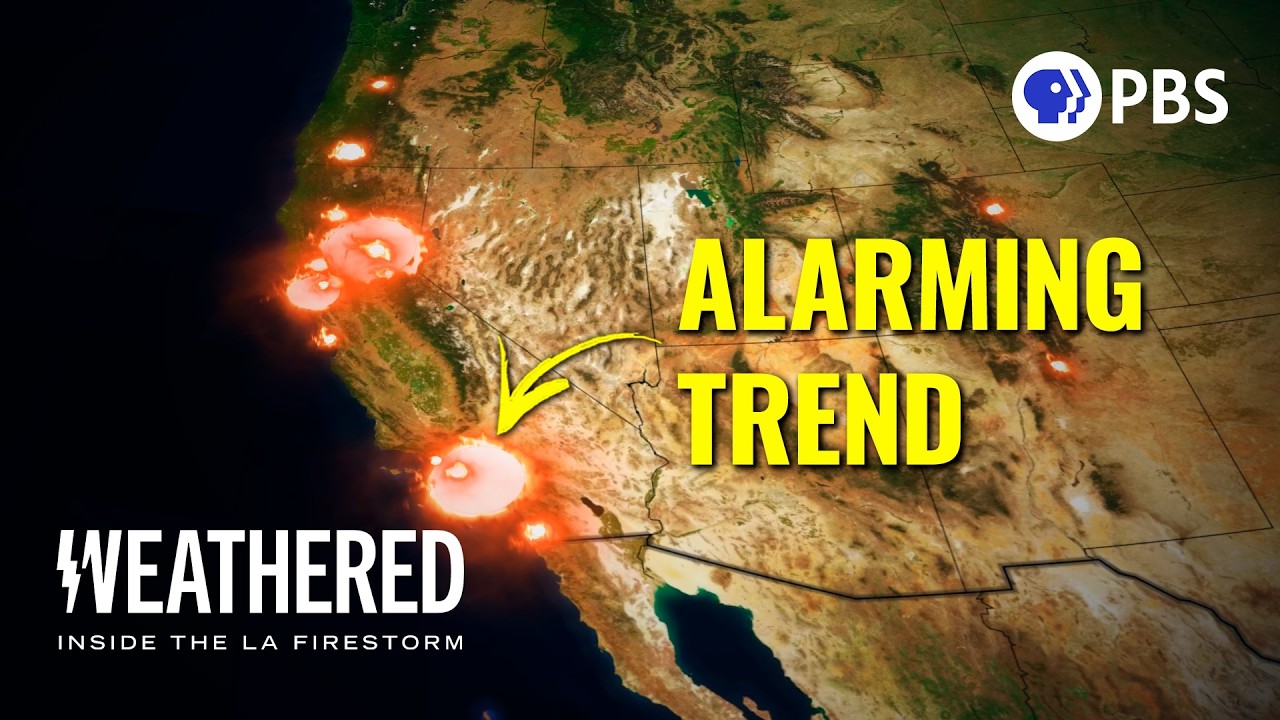 Inside the LA Firestorm - The REAL Story | Full Documentary
