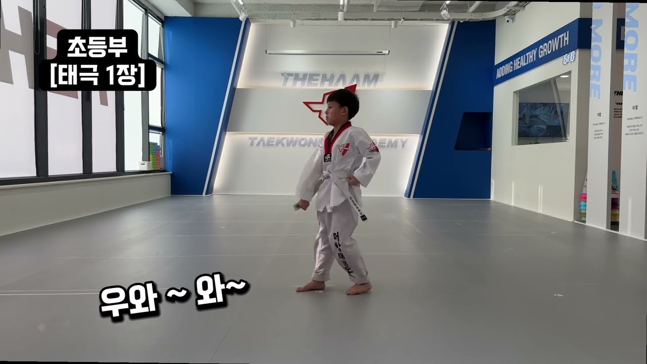 [제3회 더함태권도 초등부 공개심사]  도전의 땀, 성장의 순간🔥 아이들의 진짜 태권도 이야기 | 용인대 더함태권도