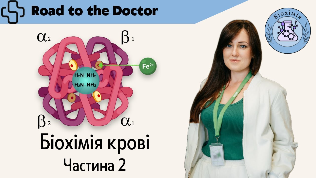 Біохімія крові | Частина 2 | Еритроцити. Синтез гему. Патології синтезу гему