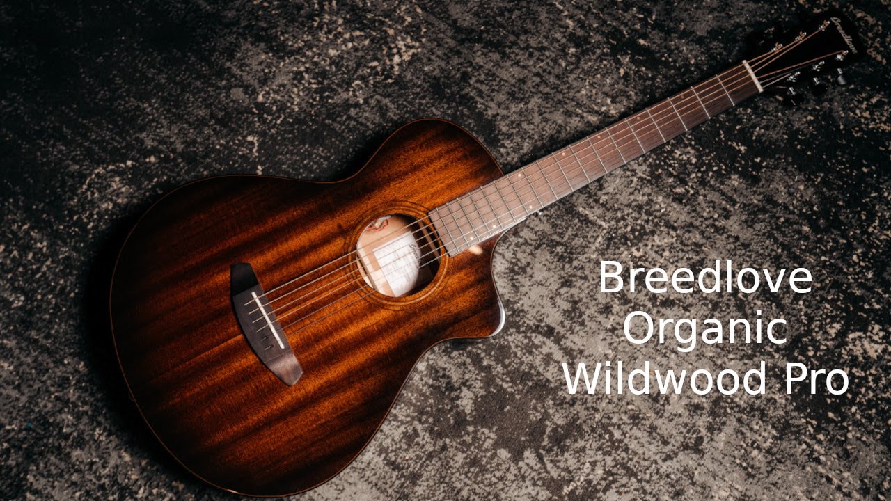 Breedlove Organic Wildwood Pro