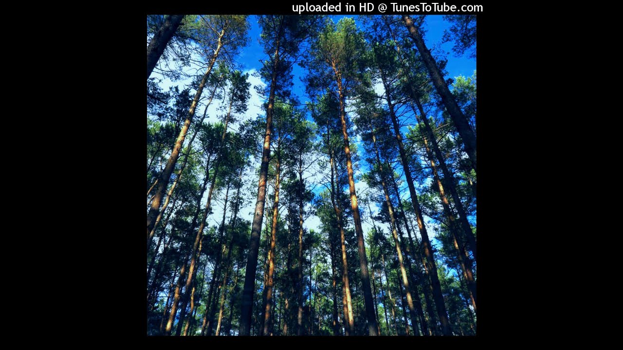 酸素 OXYGEN (micro tuning KIRNBERG microtonal ambient)