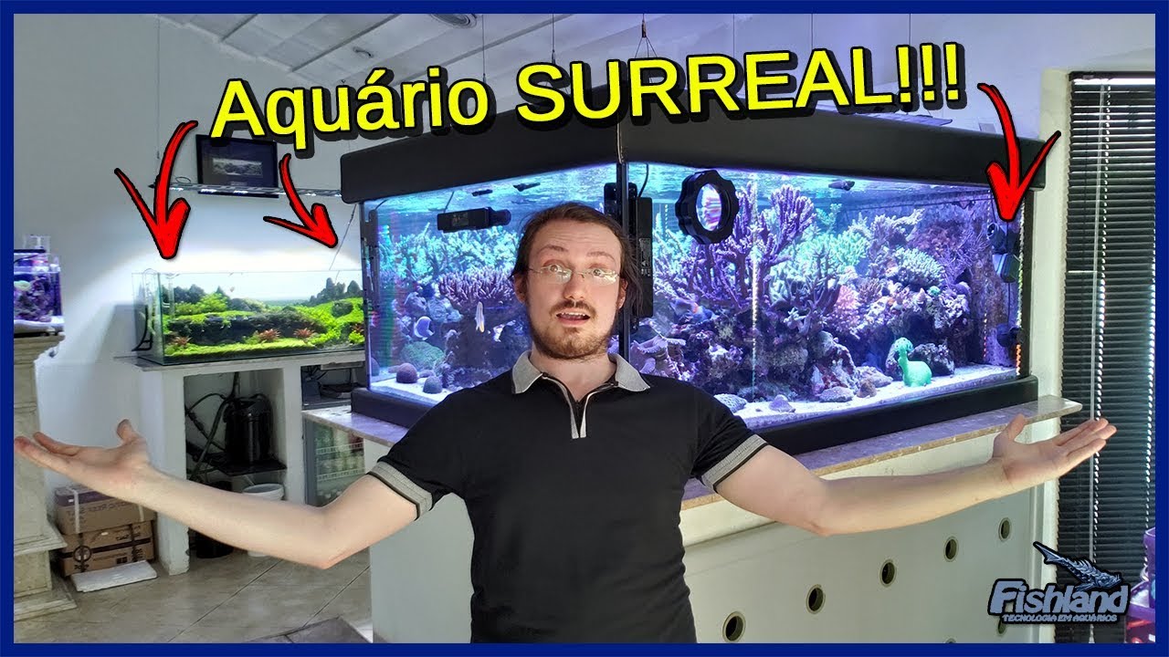 Visitei uma Loja de AQUARISMO! - Fishland