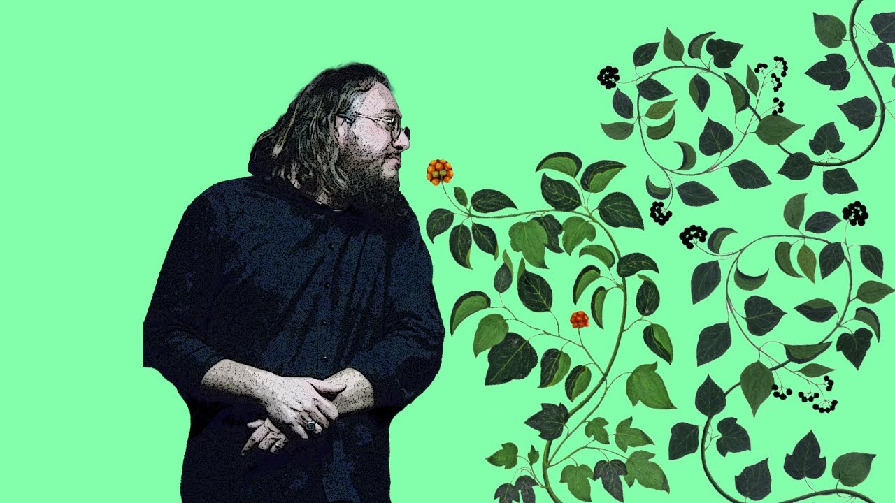 Il sapere &egrave; una foresta